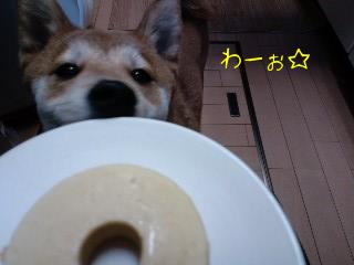 2011.2.9-4.JPG