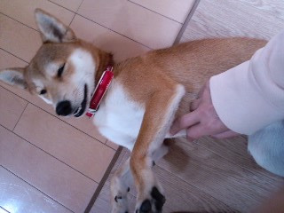 2011.2.4-8.JPG