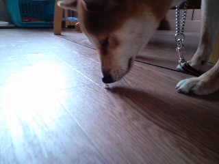 2011.5.30-2.JPG