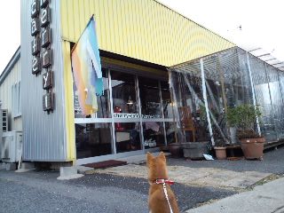 2011.2.24-5.JPG