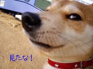 2011.2.5-3.JPG