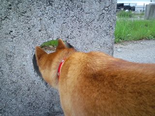 2011.6.27-2.JPG