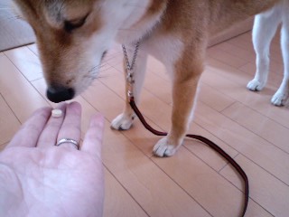 2011.5.30-3.JPG