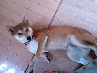 2011.2.4-9.JPG