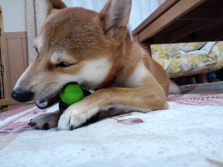 2010.11.14-5.JPG