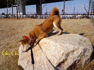 2011.3.16-3.JPG