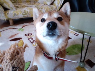 2011.4.6-1.JPG