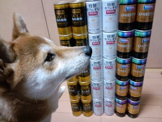 2011.2.19-1.JPG