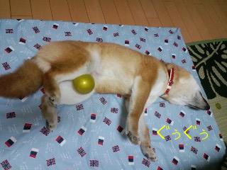 ゴールデンボール
