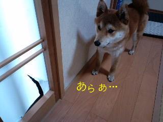 あ～ぁ…