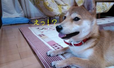 コンロ４