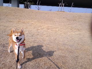 2011.5.16-2.JPG