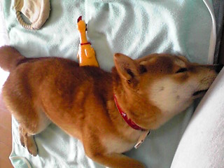 2011.7.31-3.JPG