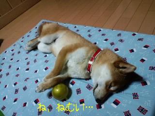 眠い～