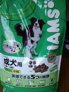 2011.4.13-1.JPG
