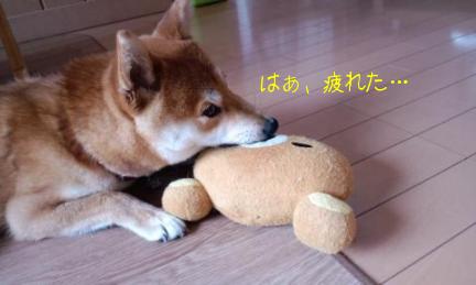 リラックマ３