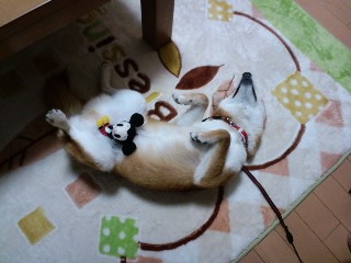 2011.5.28-2.JPG