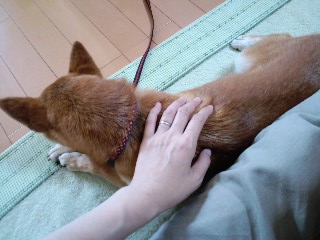 2011.7.31-2.JPG