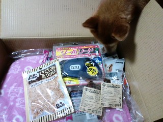 2011.7.13-2.JPG