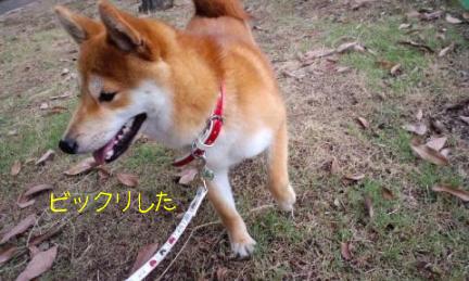 いててて