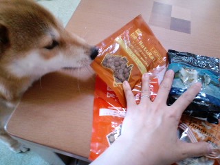 2011.7.13-3.JPG
