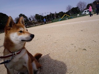 2011.3.21-2.JPG