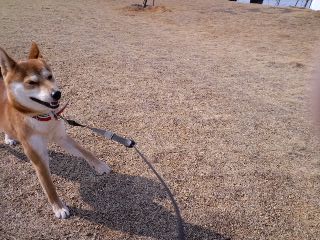2011.5.16-4.JPG