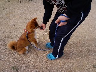 2011.3.21-3.JPG