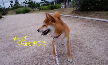 歩道