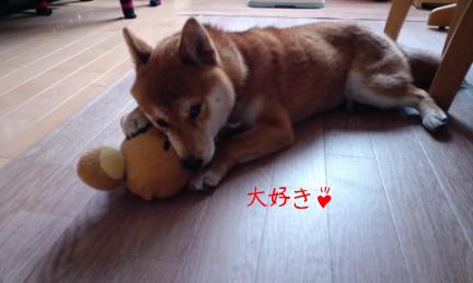 リラックマ４