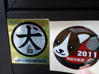 2011.4.13-5.JPG