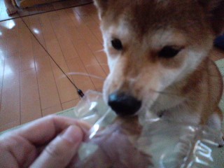 2011.7.13-5.JPG