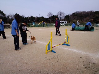 2011.3.21-4.JPG