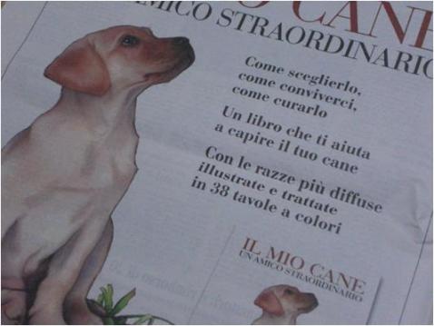 イタリア新聞　犬