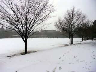 120120-03