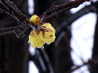 120120-04