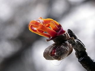 120120-05
