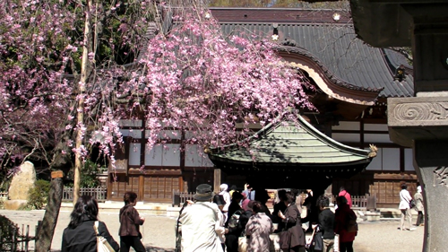 PDVD_017.jpg