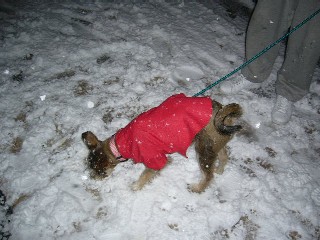 雪★