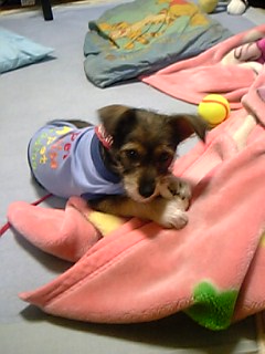ぉﾍﾞﾍﾞｗ