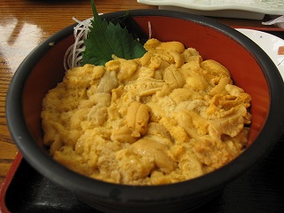 ウニ丼