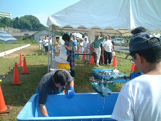 2007年　8月26日　会瀬漁港 016.jpg