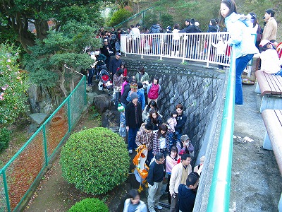 平成21年　１１月　２３日　かみね動物園 014.jpg