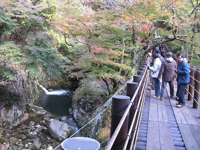 花貫　渓谷　　　平成21年　１１月　３日　　 007.jpg