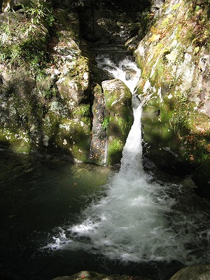 花貫　渓谷　　　平成21年　１１月　３日　　 014.jpg
