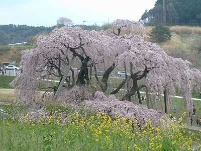 ヘルメット 074.jpg