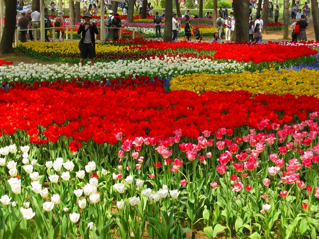 平成22年5月4日 海浜公園 041.jpg