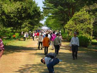 2009.04.29  国営ひたち海浜公園 003.jpg