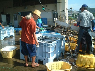 2007年　8月26日　会瀬漁港 004.jpg