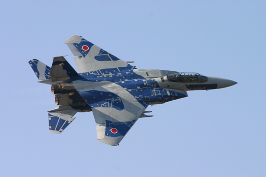 あぐれっさー (2).JPG